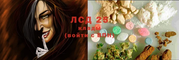 спиды Богданович