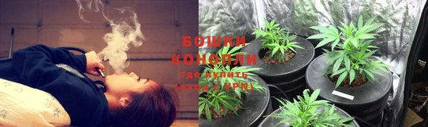 спиды Богданович