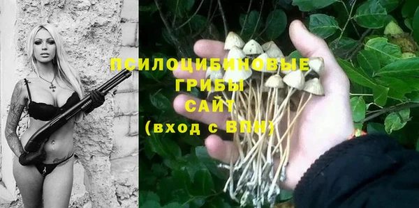 спиды Богданович